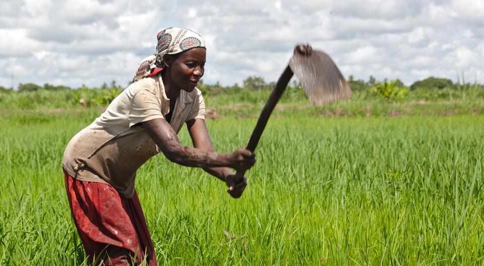 Réunion de communication ACP-PAFO Arton65