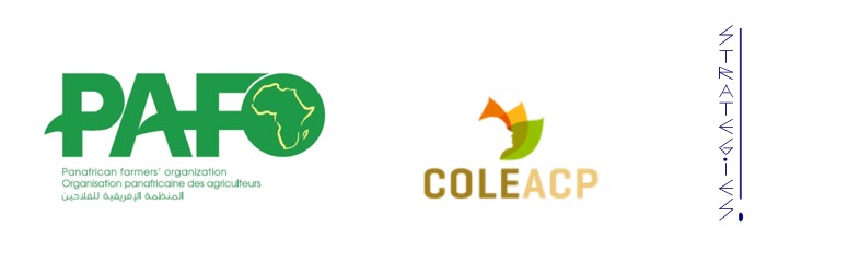 Our strategy 2021-2025 Strategie Pafo