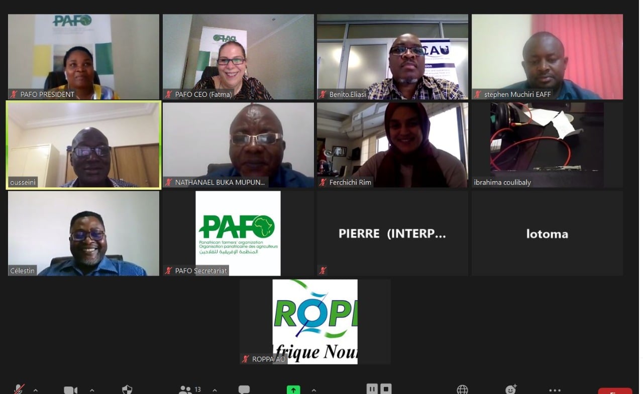 La PAFO tient son Conseil d’Administration Conseil Dadministration PAFO