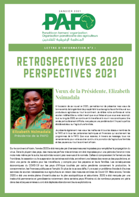 Capture Décran 2021 02 05 À 15.46.10 1 E1612537540288