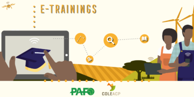 E Training E1613733998136