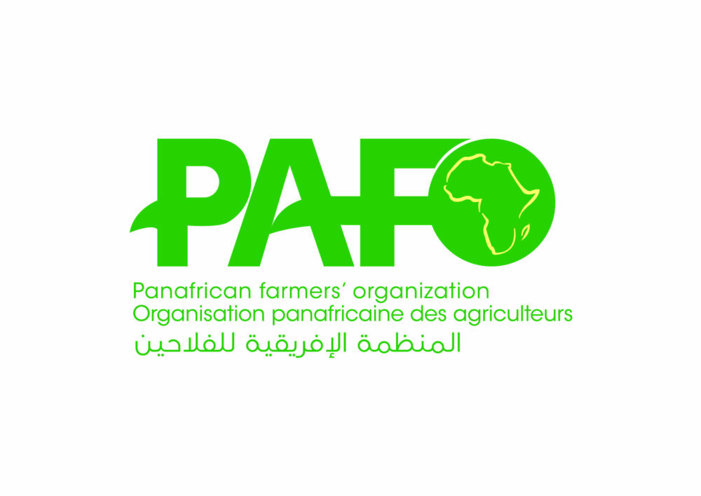 La PAFO obtient son accord de siège Logo Pafo Final 01 Scaled E1613650476953