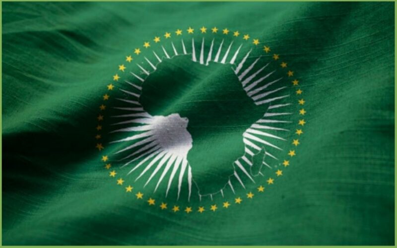 Positionnement des organisations paysannes africaines dans le contexte de la ZLECAf