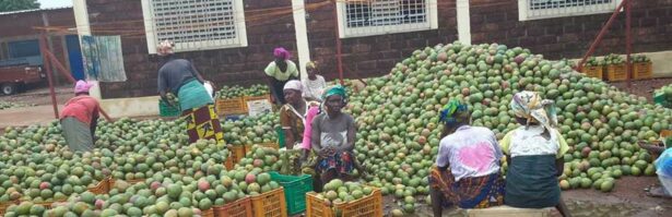 Journée internationale de la femme 2021 Photo De Cloture E1615198365622