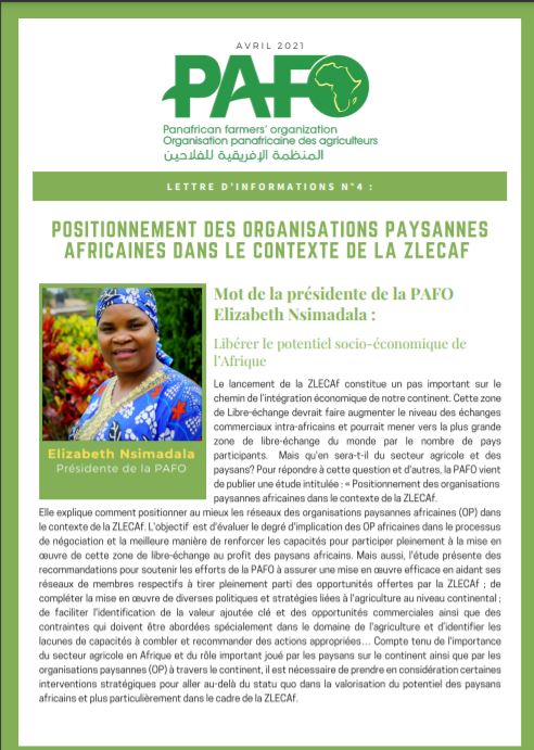 Lettre d'informations Capture FR