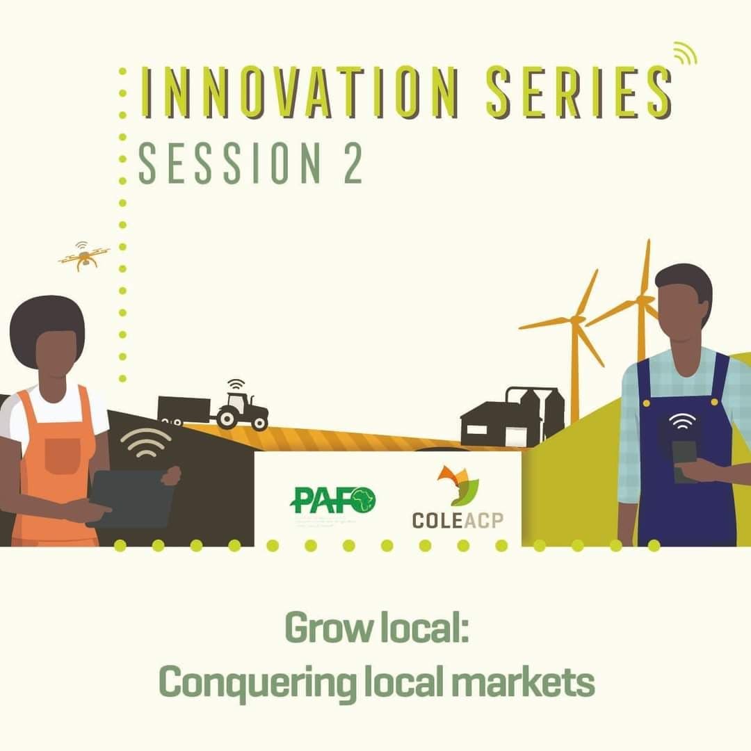 191728185 146869867479792 6165330983499997101 N