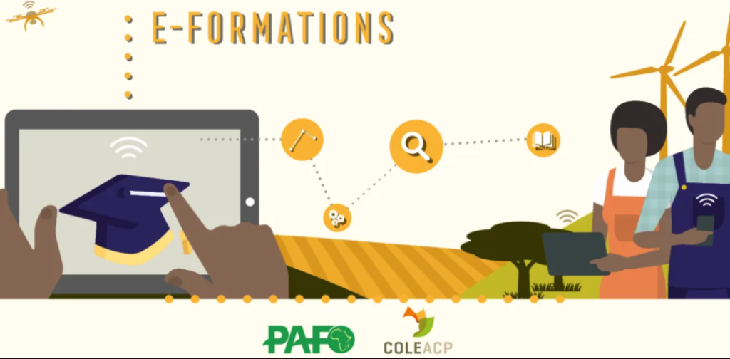 E Formation 1024x504