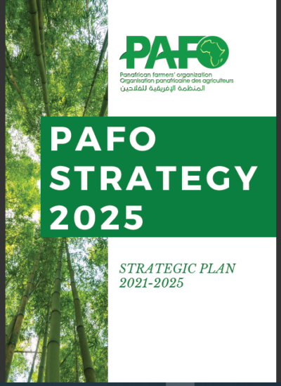 Strategic Plan E1620812921364
