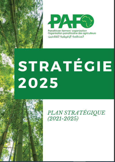 Strategie Pafo E1620811799562