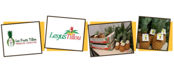 Journée internationale de la sécurité alimentaire 2021 : Promotion des entreprises des Sessions Innovations Food Safety Day Les Jus Tillou E1623222755322