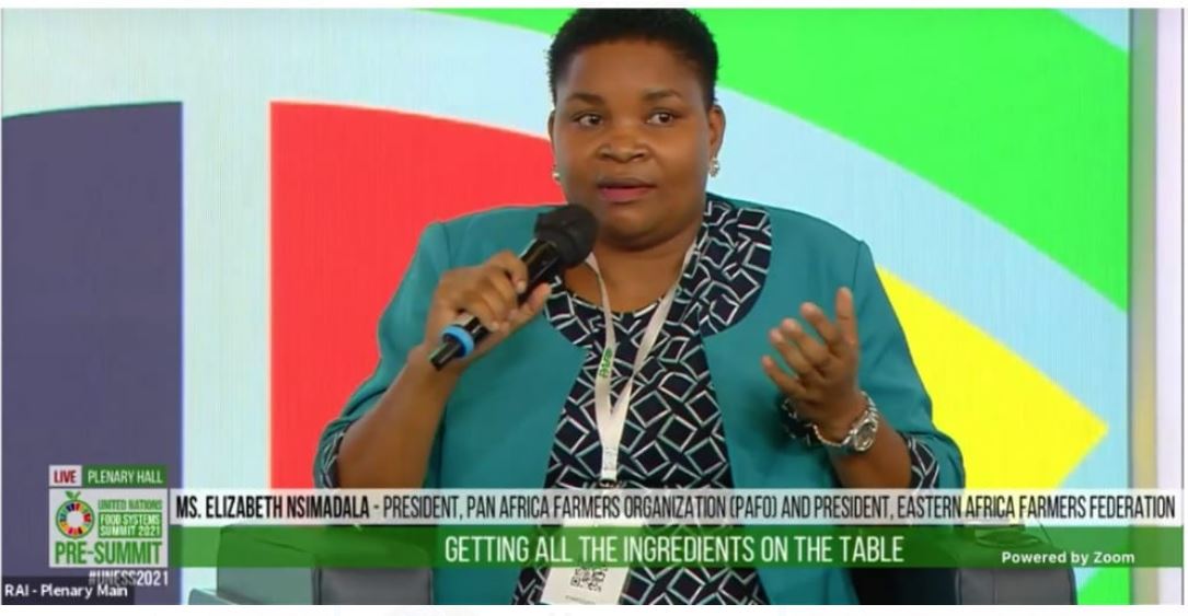 La présidente de la PAFO à l'ouverture du pré-sommet UNFSS2021 Ouveture Elizabeth