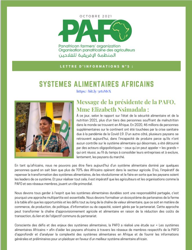 Lettre d'informations Capture Francais