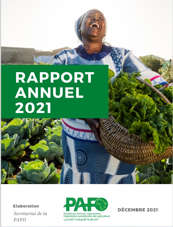 Rapport FR 2021