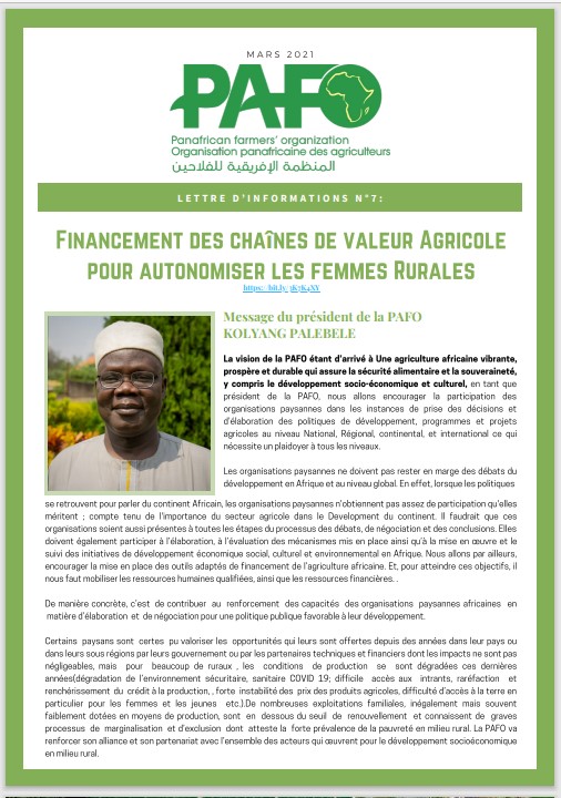 Lettre d'informations Image FR Newsletter