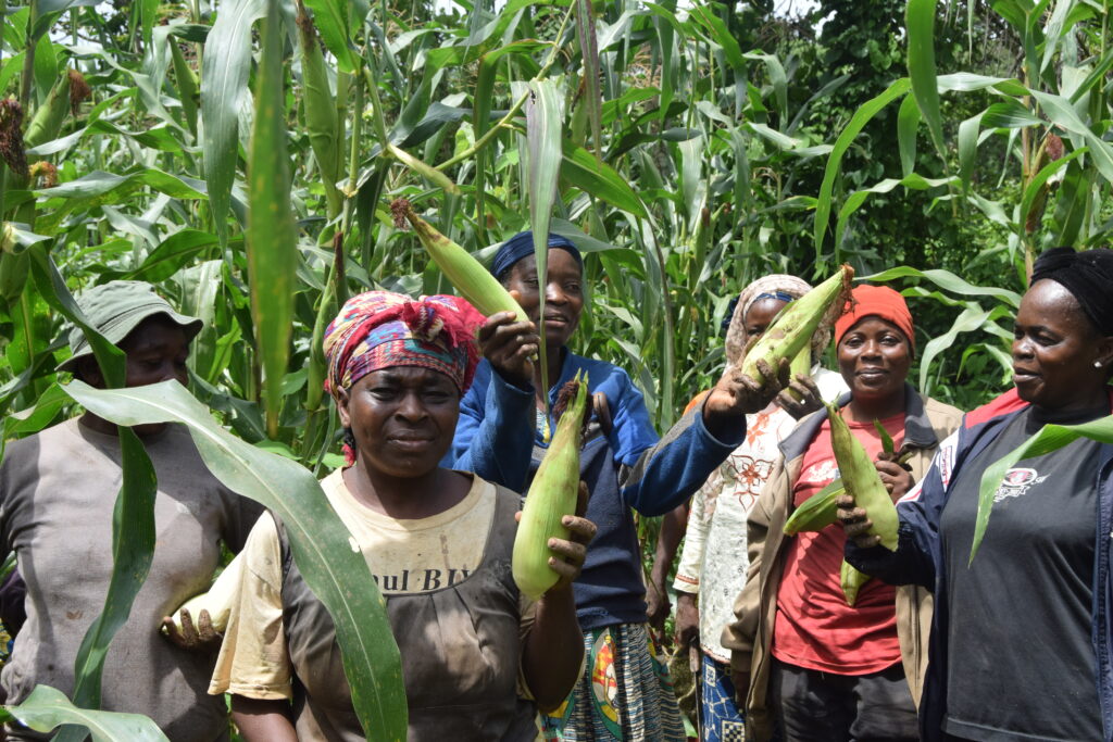 COMMUNIQUÉ DE PRESSE DSC 0116 1024x683