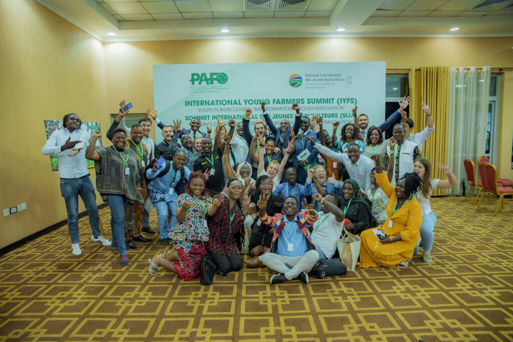 PAFO Dsc 7449 1024x684