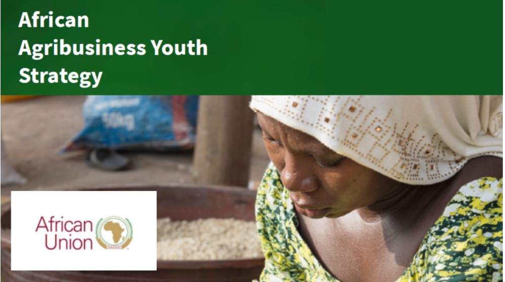 Créer des opportunités pour l'entrepreneuriat des jeunes - Lancement de la Stratégie pour la jeunesse de l'agro-industrie africaine African Union Strategy