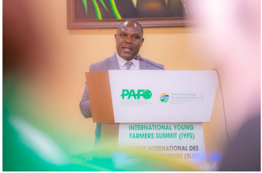 Capture Decran 2022 11 28 081927