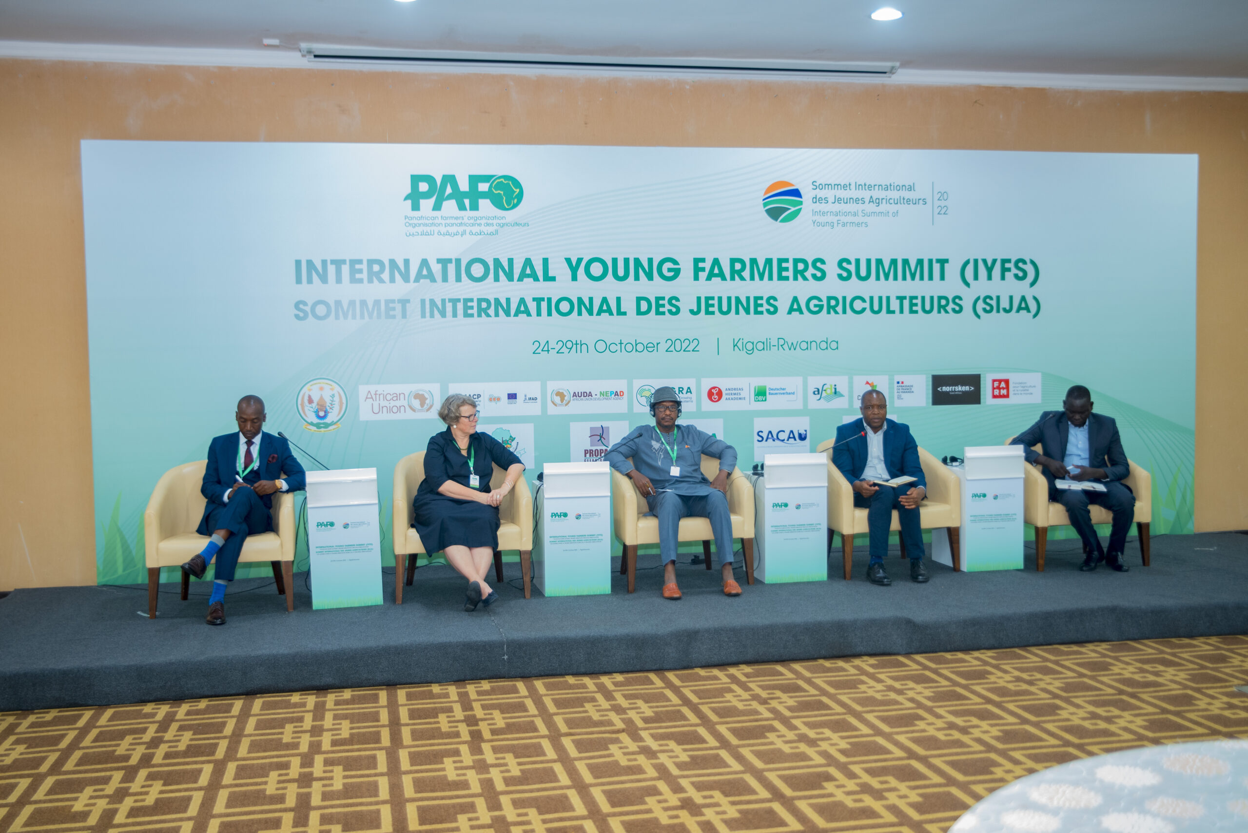 PAFO Dsc 7182 Scaled