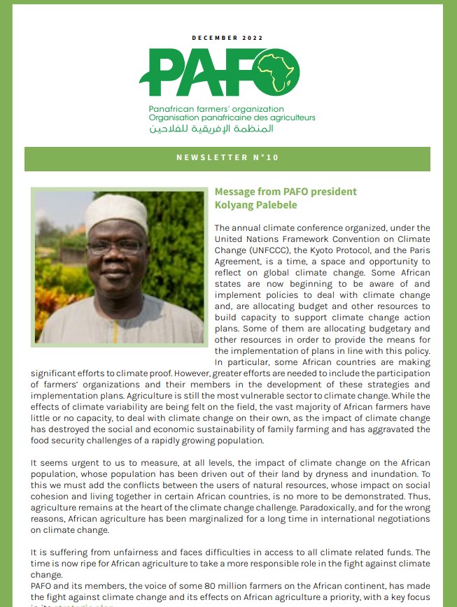 Newsletter December 2022