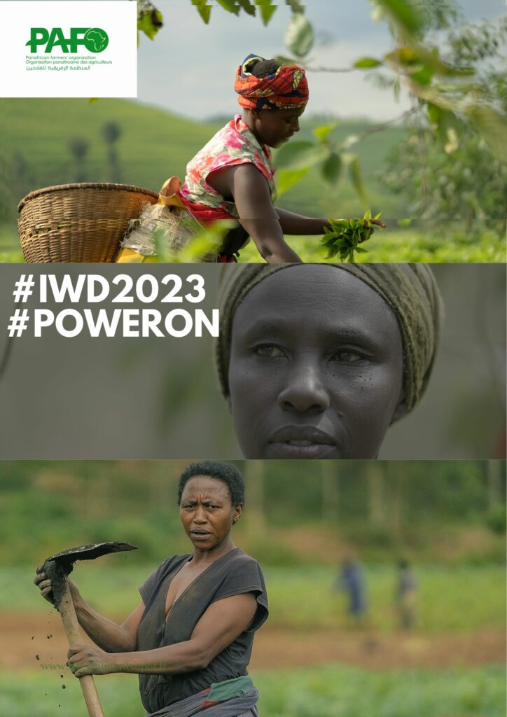 IWD2023 724x1024