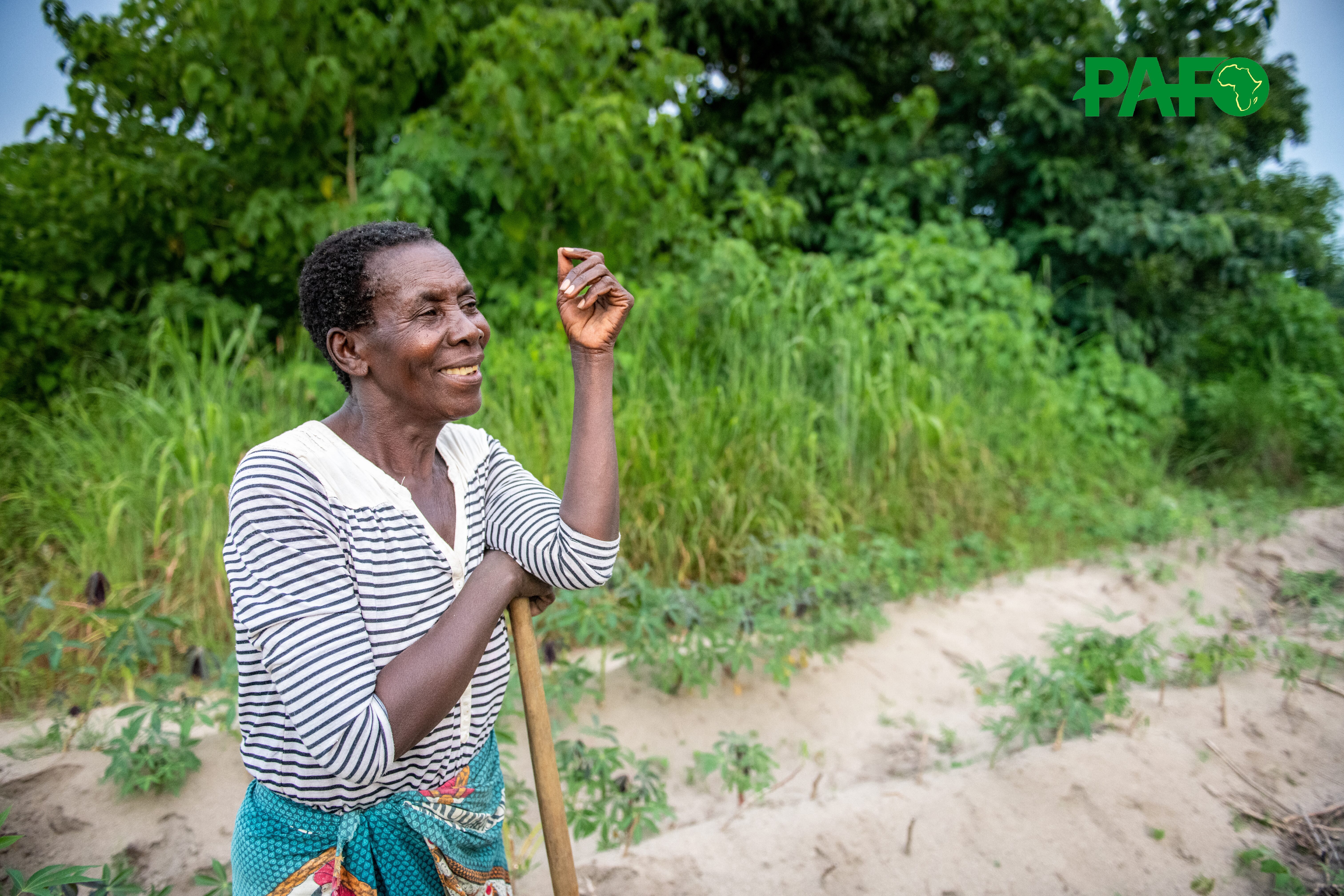 Farmers Apport 19 120 X 80 Cm Pdf