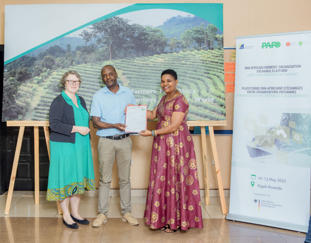 Certificate 2 1024x800