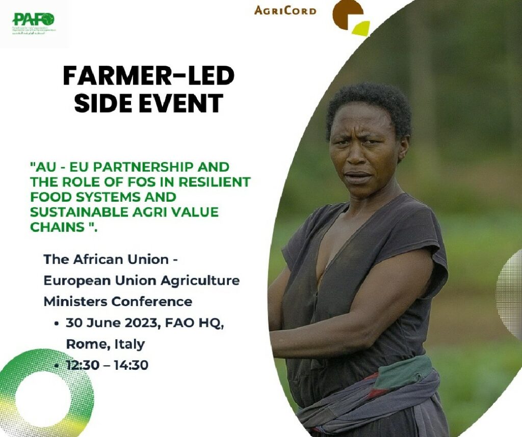 Side Event Pafo 1024x858