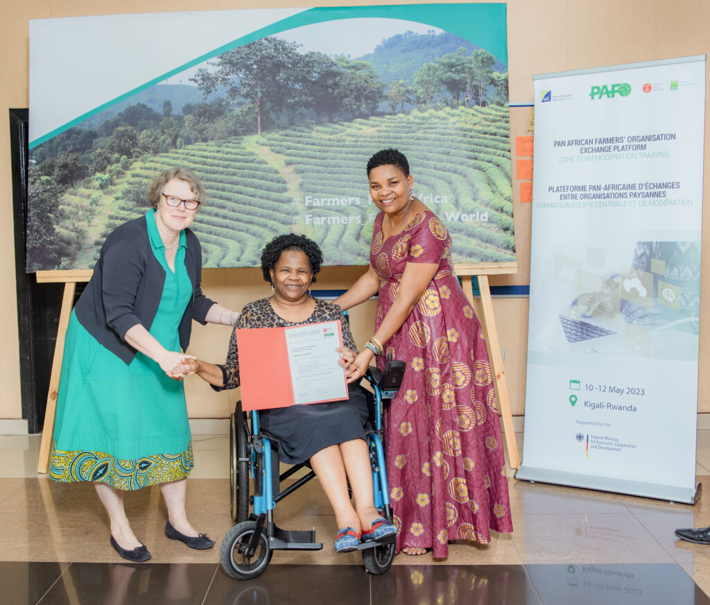 Certificates 1 1024x872