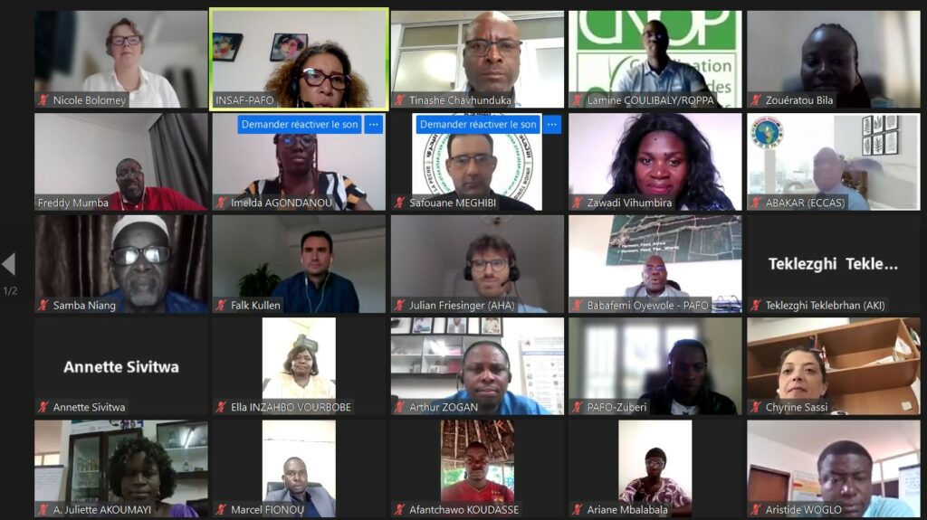 Plateforme Panafricaine d'échange entre OPs : Sessions "Lobbying & Advocacy", modérées par le ROPPA Photo1 1024x575