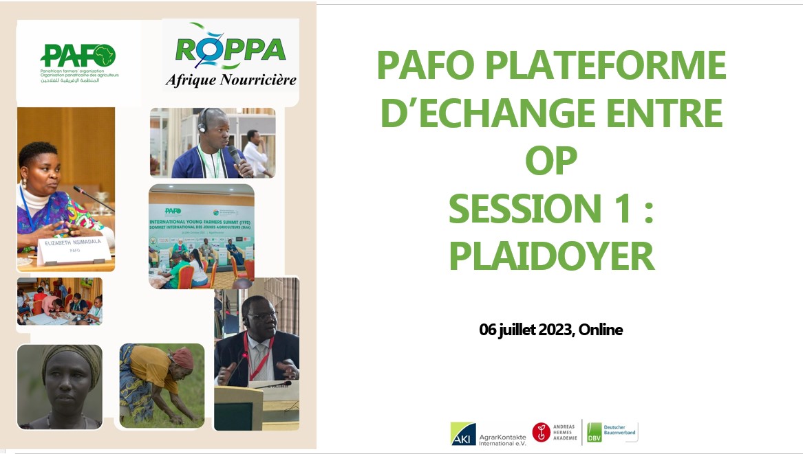Plateforme Panafricaine d'échange entre OPs : Sessions "Lobbying & Advocacy", modérées par le ROPPA FR Vignette