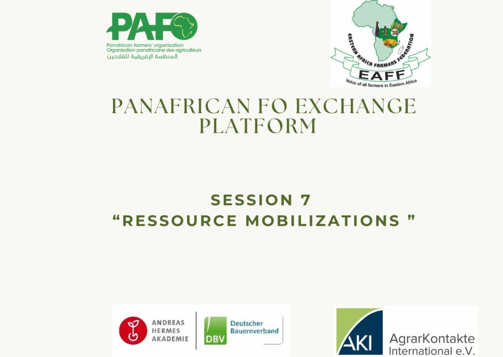 Video Miniature Session 7 1024x726