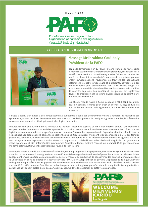 Lettre d'informations Photo FR