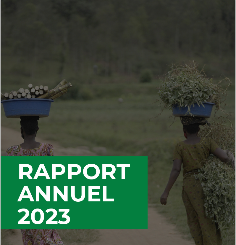 Rapport annuel de la PAFO 2023 Capture Decran 2024 04 02 100557
