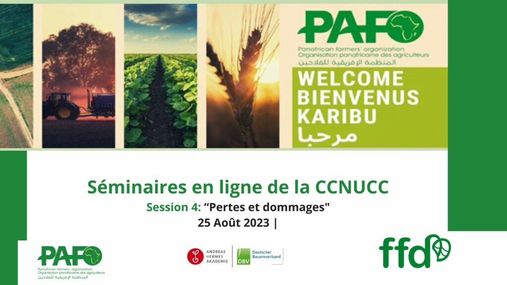 4ème Séminaire en ligne de la CCNUCC "Pertes et Dommages" FR. Session 4 1024x576