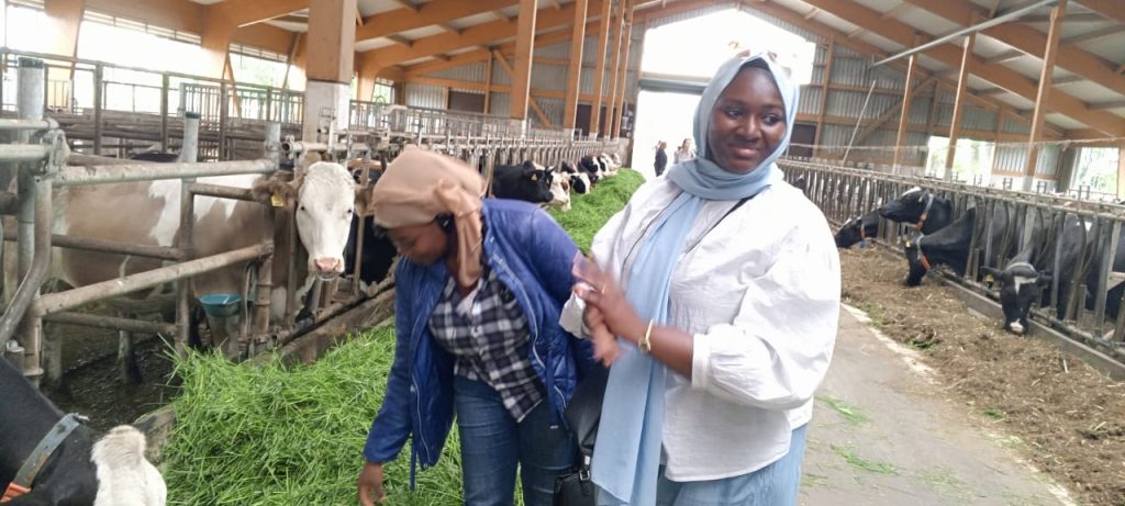 WhatsApp Image 2024 05 31 A 09.33.21 501bec53 1024x461