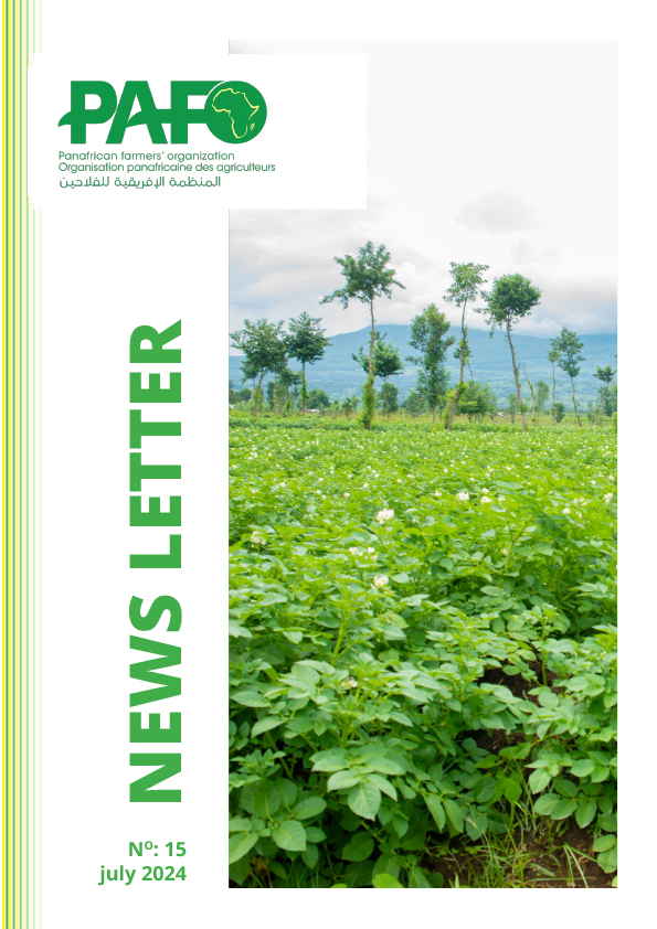 Newsletter July 2024