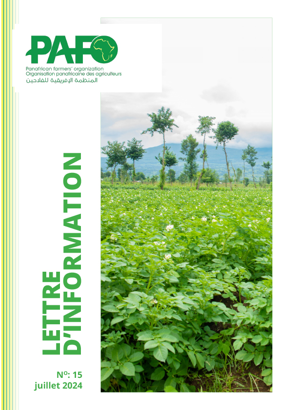 Lettre d'informations Web News Letter French July 2024