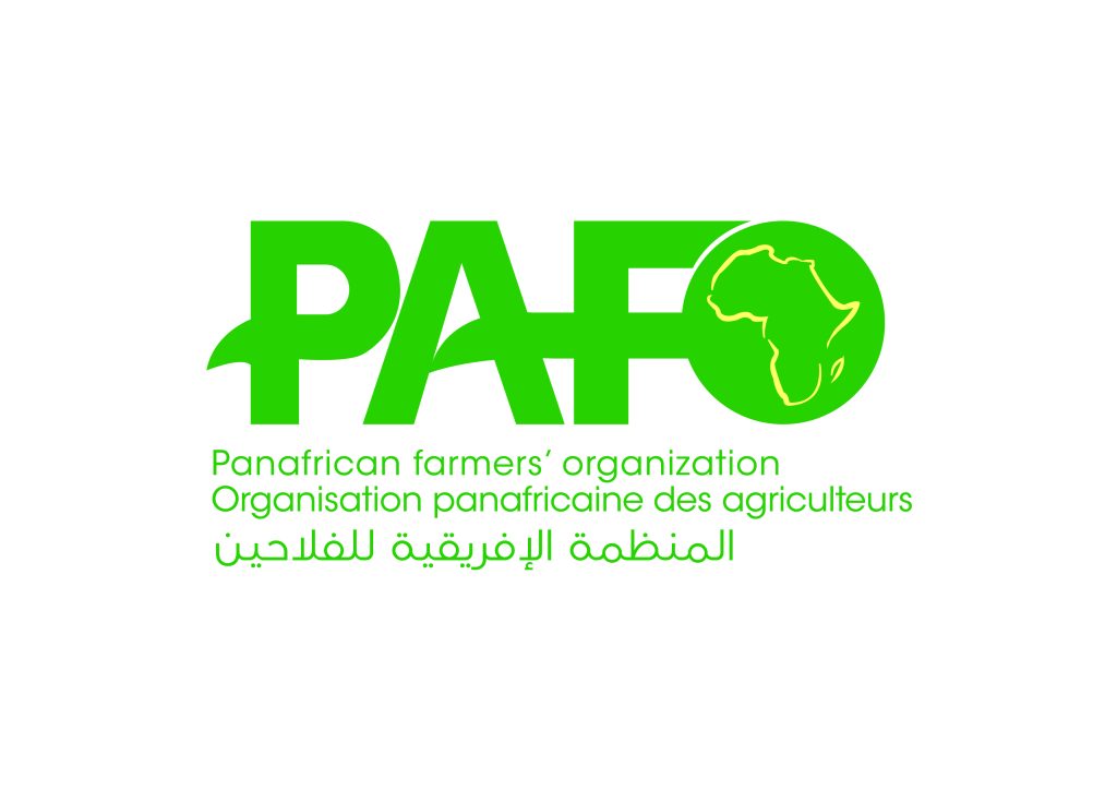 Logo PAFO 1 1024x724
