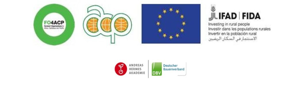 Logos Partenaires 1024x304