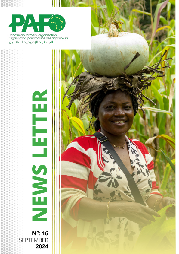 Newsletter September 2024