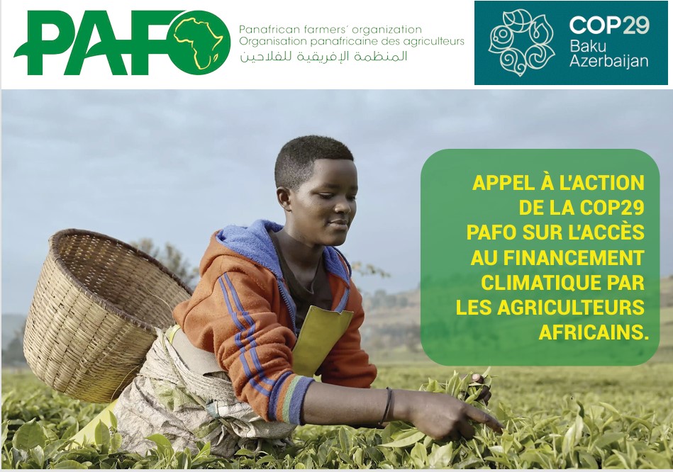 COP29 : PAFO Plaide pour un Financement Climatique Juste pour les Agriculteurs Africains Appel FR