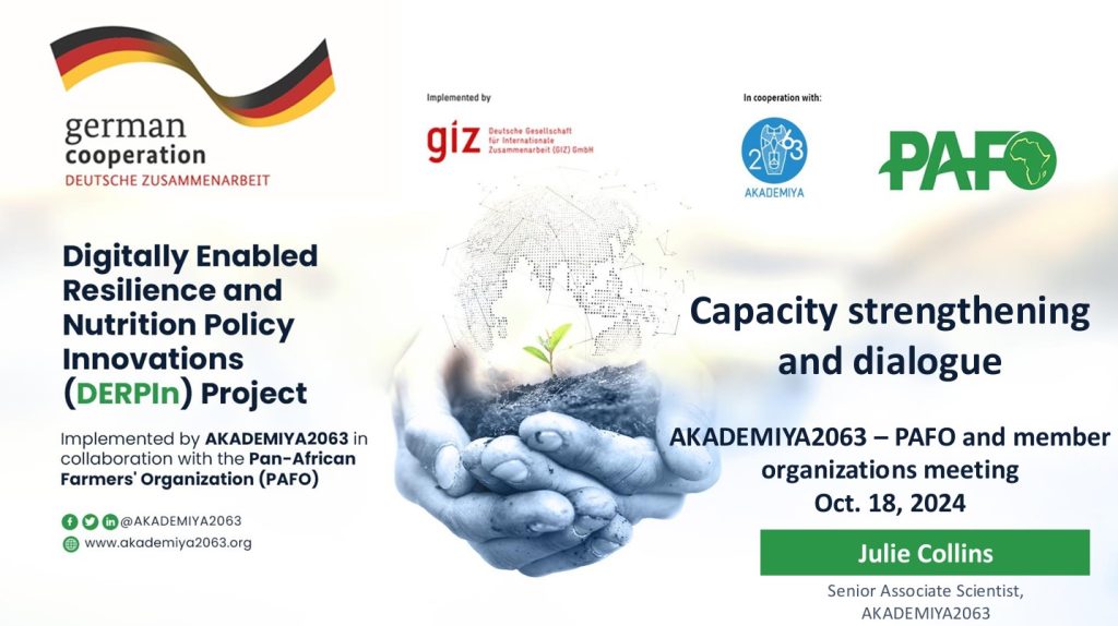 Capacity Strenghing 1024x574