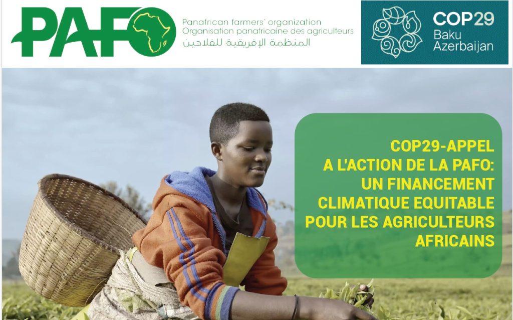 COP29 : PAFO appelle à un financement climatique équitable pour les agriculteurs africains Capture Decran 2024 12 13 125124 1024x638