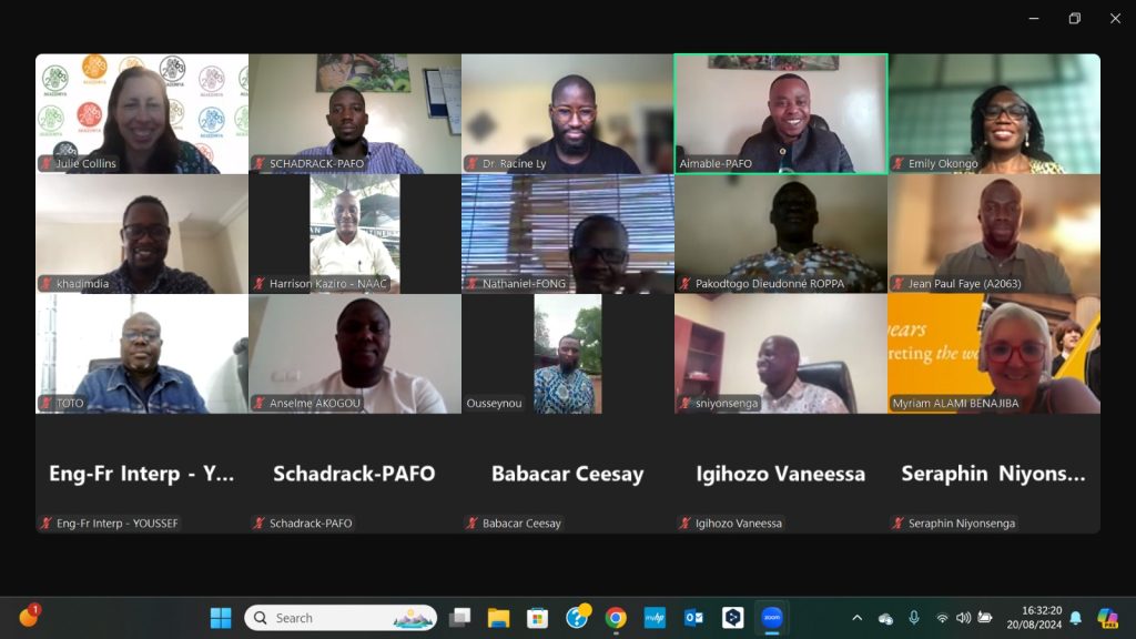 WhatsApp Image 2024 11 06 A 10.34.08 60dd0478 1024x576