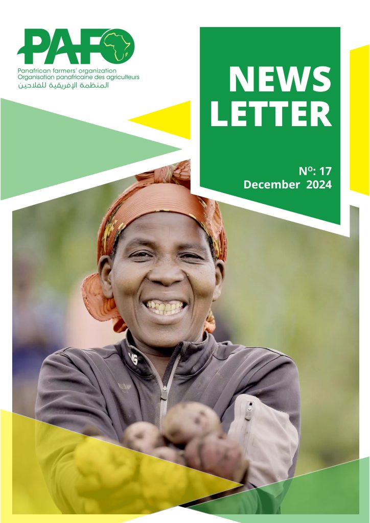 Newsletter December 2024