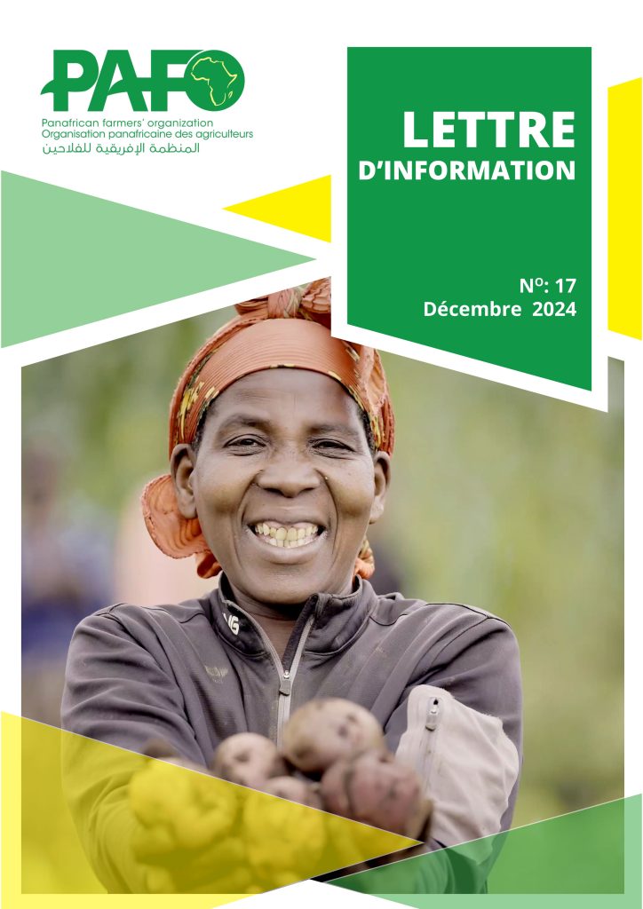 Lettre d'informations French Newsletter Dec 2024 Front 2 724x1024