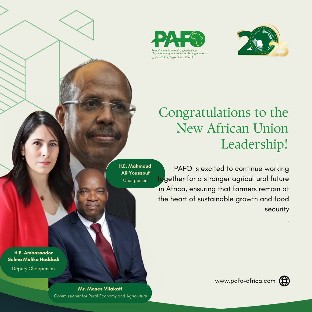 AUC Congratulation Po 1024x1024