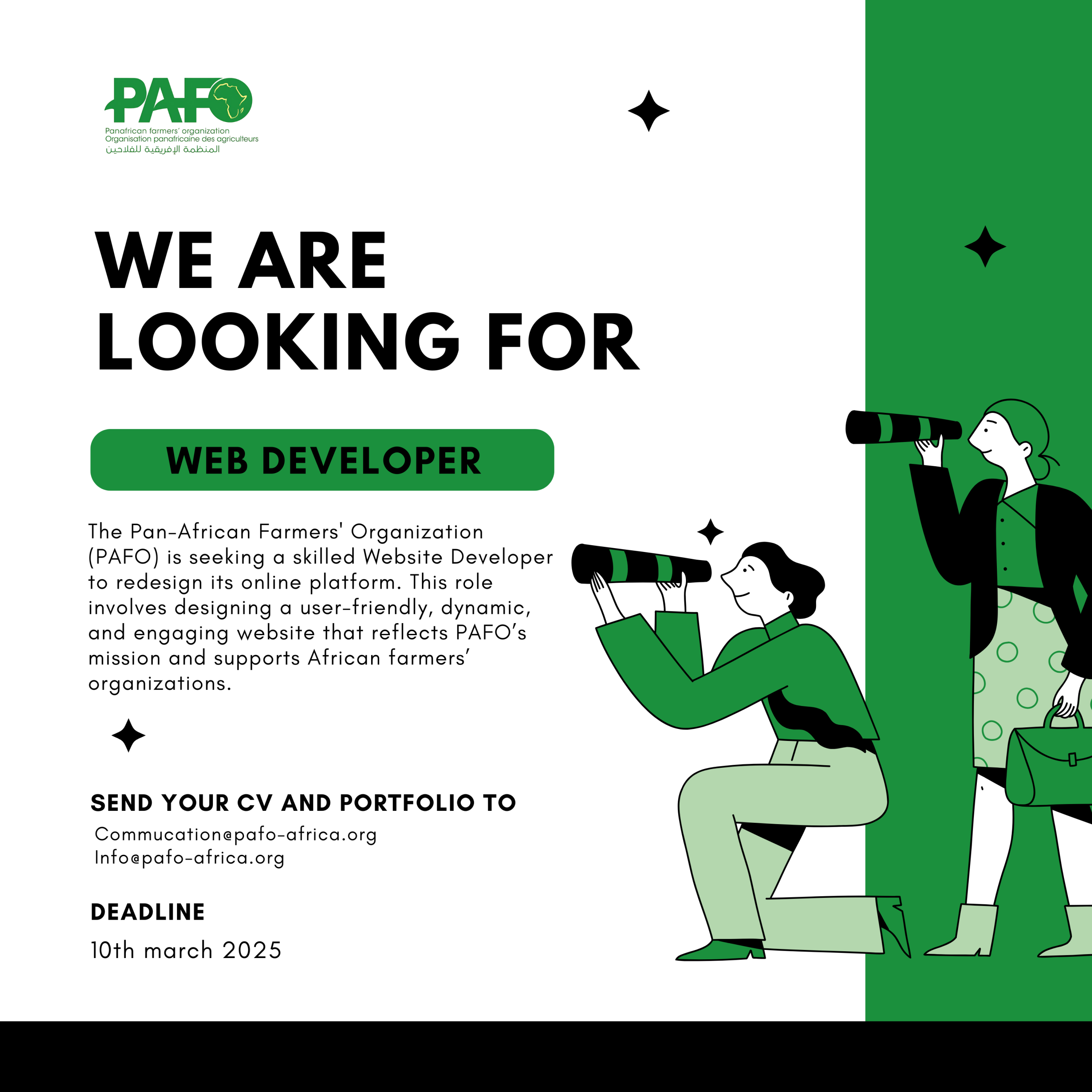 Web Developer Call For Application Scaled